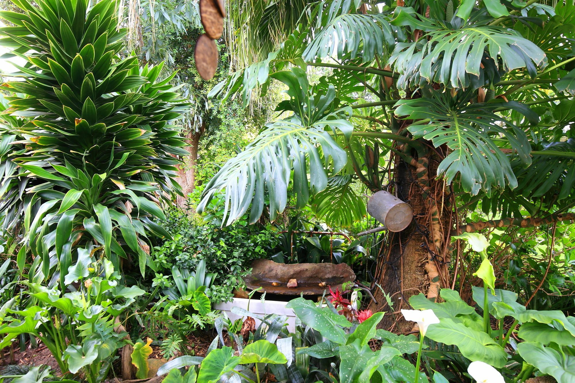 9 Fern Rest Hotel George Bagian luar foto